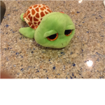 The turtle lovers of awesomeness