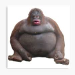 Monkey gang 635482