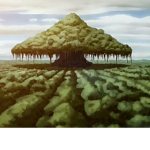 The Swamp Protectors