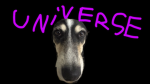 Doggie’s universe