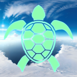 The Fly Turtle