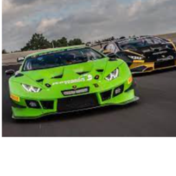 Disaster race