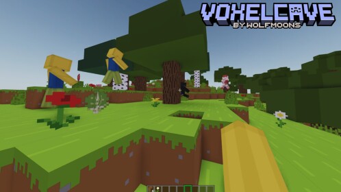 VoxelCave