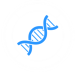 Science & Technologies