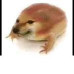 MLG XD Group
