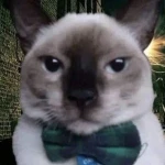 La Gato Loco Home. Group Thumbnail