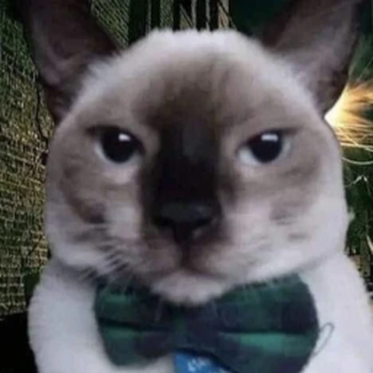 La Gato Loco Home. Roblox group icon