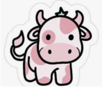 Club strawberry cows