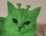 Green Shenanigan Games