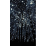 STARS FOREVER (official)