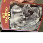 Koalas are the best club!