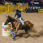 *~Horse Valley Rodeo Group~*