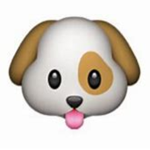 dogs are life <3 <3