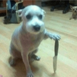 peRo cuchillo