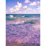 o c e a n v i b e s