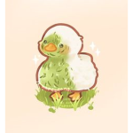 ~•~Duck Studios~•~