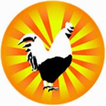 Chicken's Clothing!