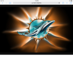 Miami dolphins!