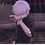 zypx