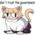 Rock Fox's Followers
