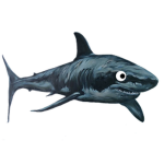 SharkieSquad!