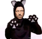 Ava00cat