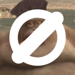 LeMonkeDe