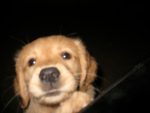 LA BANDA DEL CRO Group Thumbnail