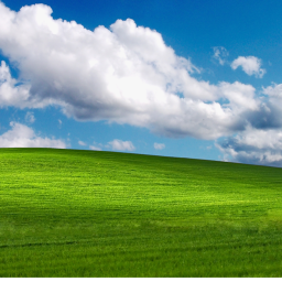 Realistic land