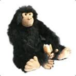 illikkyfighting's Group3