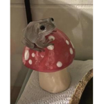 |Frog cult|