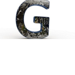 Capable Development Fan Group