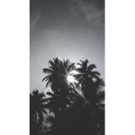 | Group Shadow |