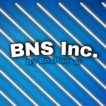 BNS Inc.