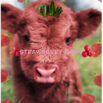 x.x.Strawberrycow.x.x
