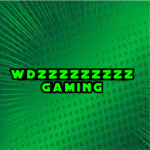 wdzzzzzzzzz Gaming