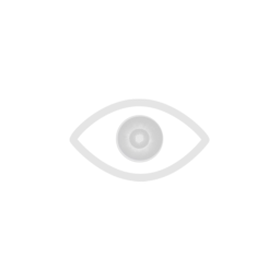 Echo of the Past  icon