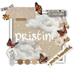 p r i s t i n e