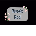 Buckboi Group