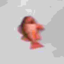 GERINCESESSZENCIA