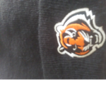 BENGALS SUPER FAN GROUP