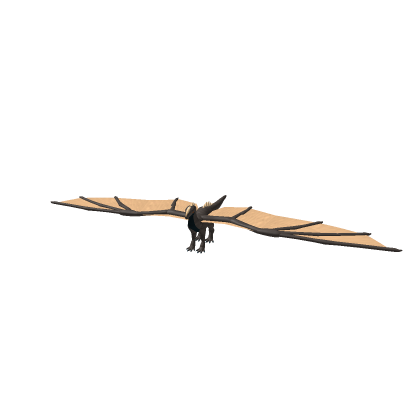 DragonModel
