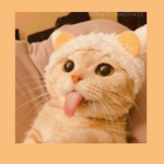 ,heycuties,