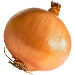 onion nextbots