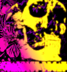 STARDUST DECAY