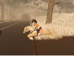 Equestrian gang