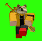 doges studion