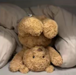 - Bearsss -