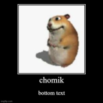 doge lolcat