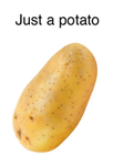 Potatoes are the best thing ever